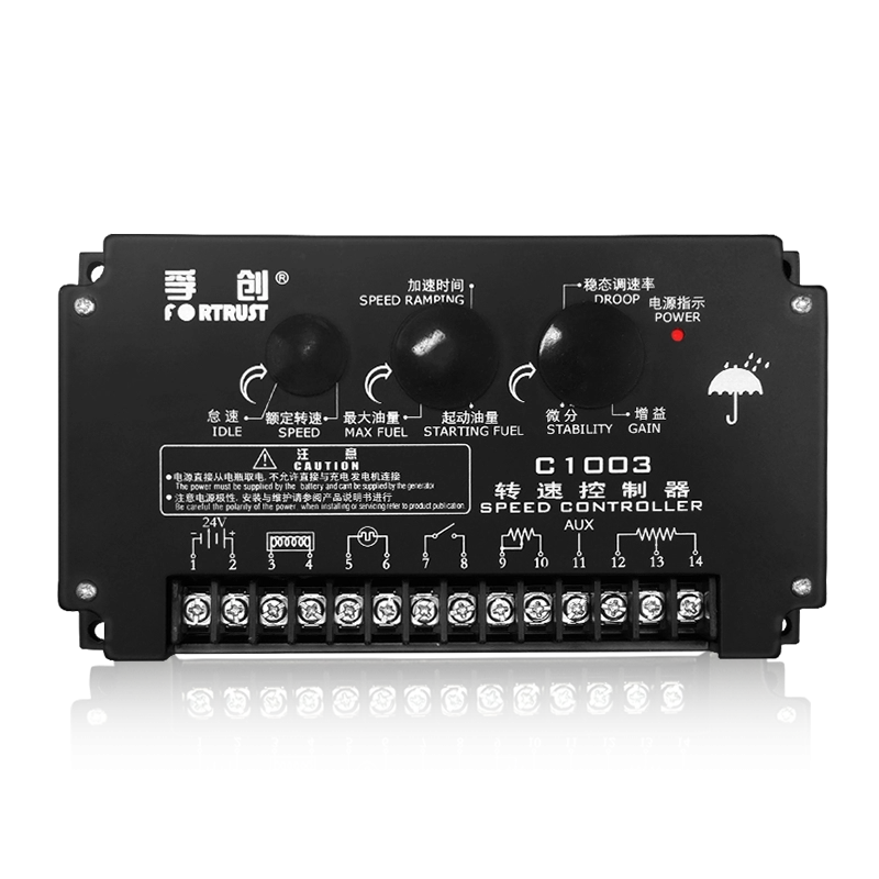 C1003